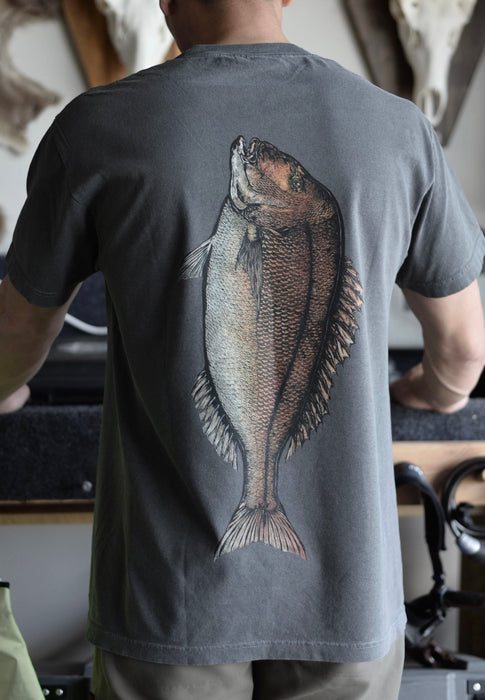 SNAPPER 2026 COLOUR TEE - FADED BLACK