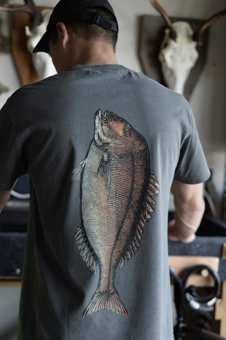 SNAPPER 2026 COLOUR TEE - FADED BLACK