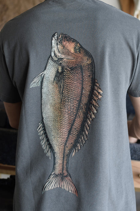 SNAPPER 2026 COLOUR TEE - FADED BLACK