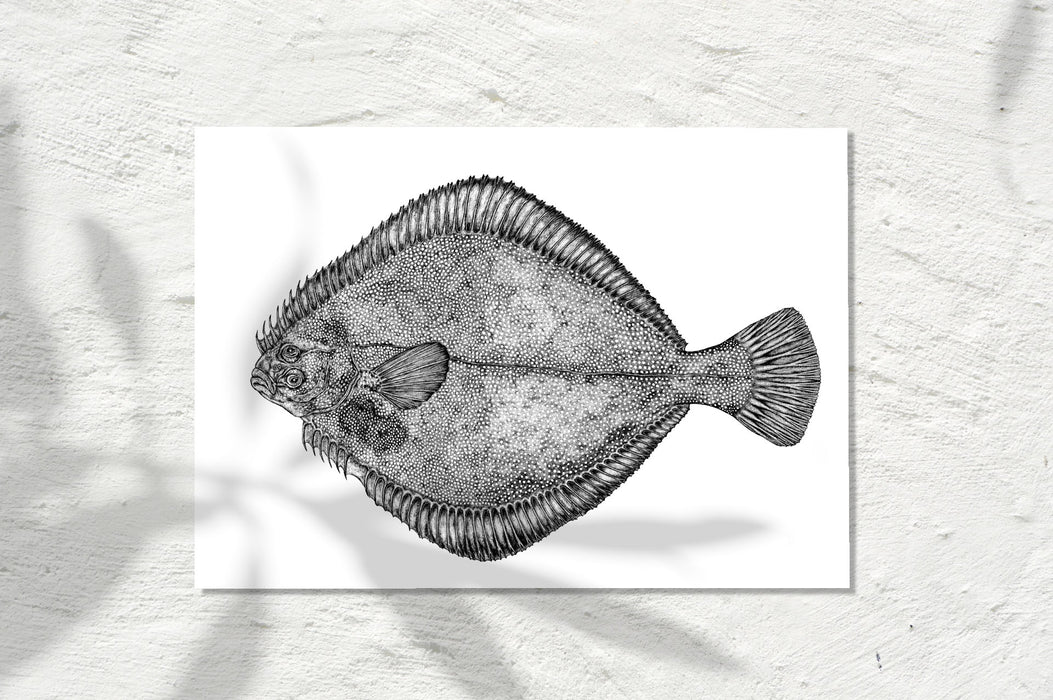 Flounder, INK 2024