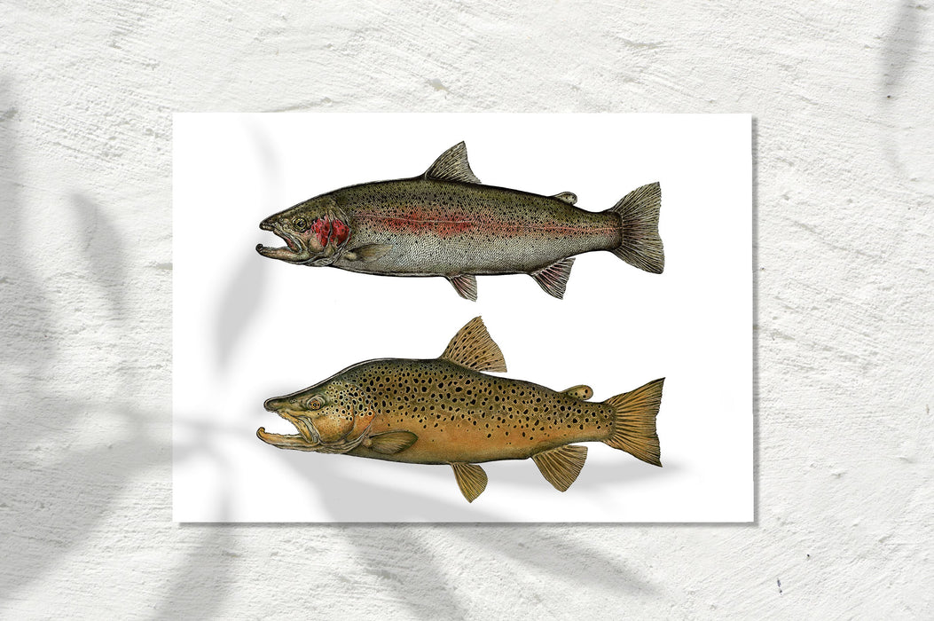 Twin Trout Harmony