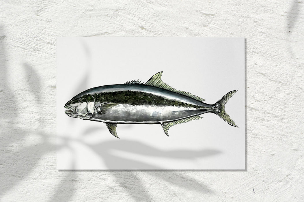Kingfish 2021 / watercolour